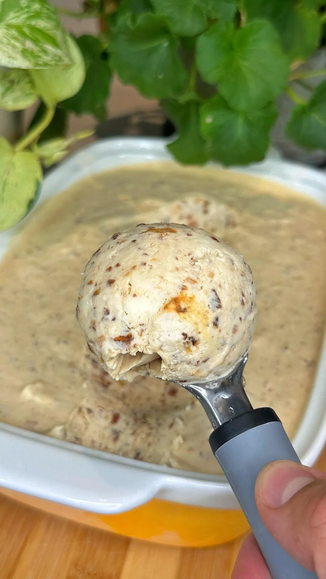helado-de-ron-con-pasas-rum-raisin-ice-cream