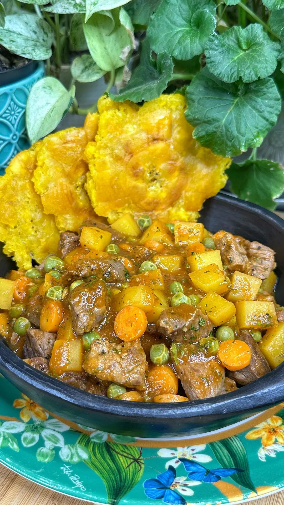 estofado-de-res-beef-stew