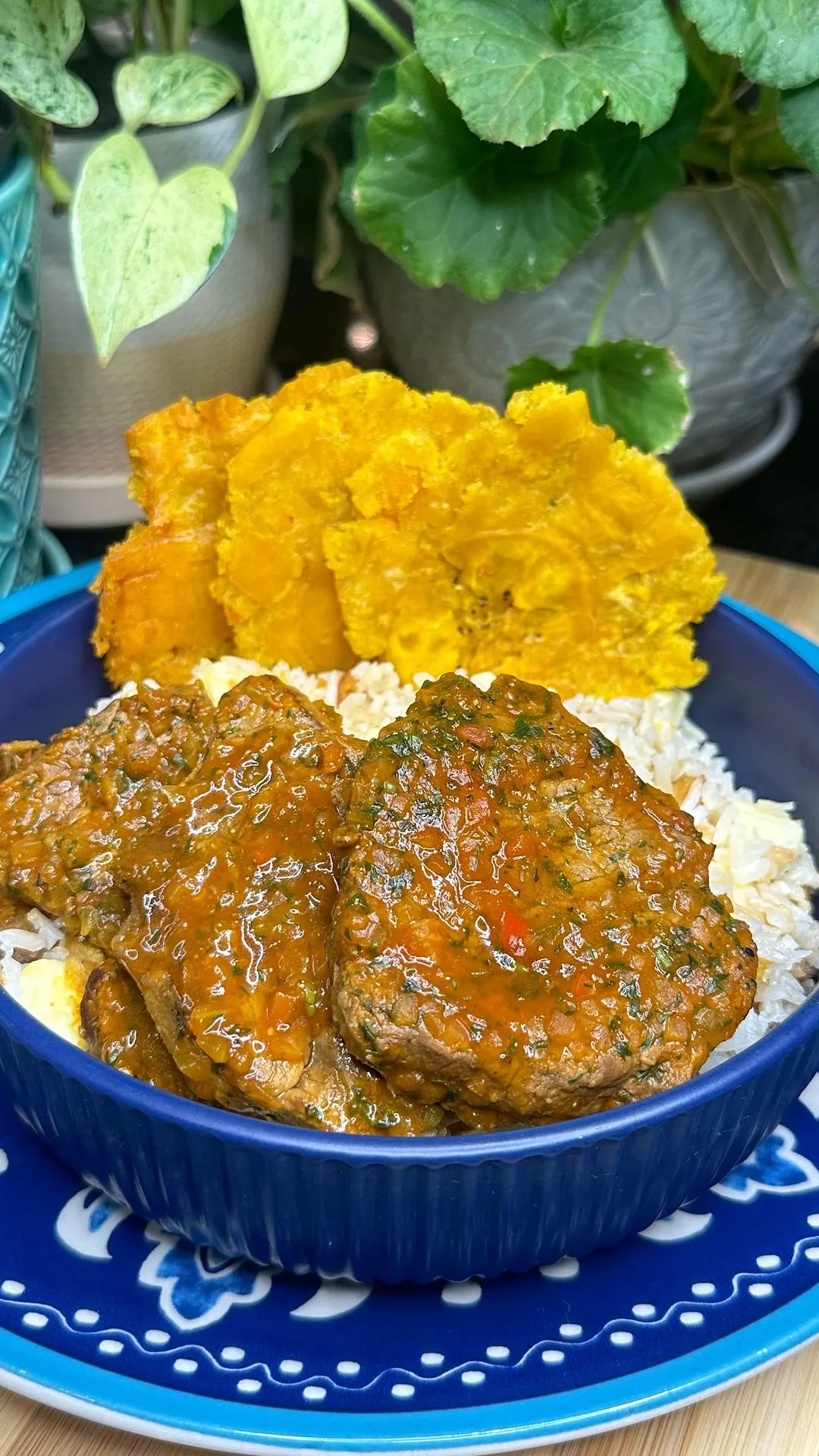 carne-en-salsa-con-arroz-de-pajarito-y-queso-y-patacones-meat-in-sauce-with-bird's-rice-cheese-and-fried-plantains