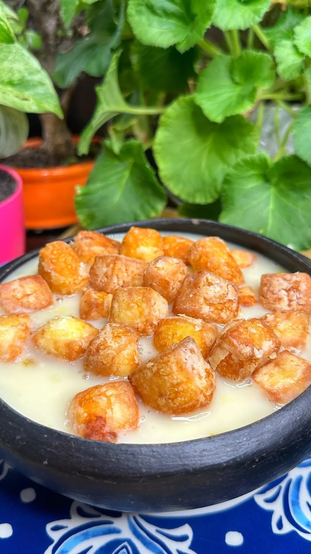 sopa-de-name-y-queso-costeno-yam-and-costeno-cheese-soup