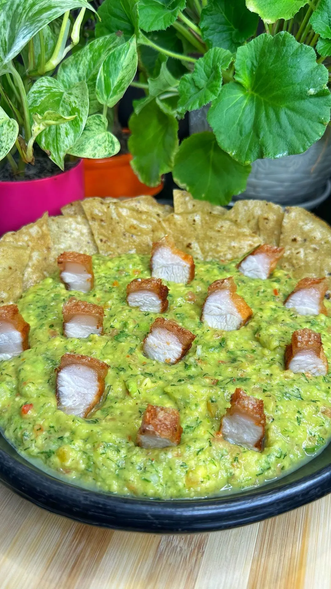 guacamole-en-chicharronado-con-totopitos-guacamole-with-fried-pork-rinds-and-tortilla-chips