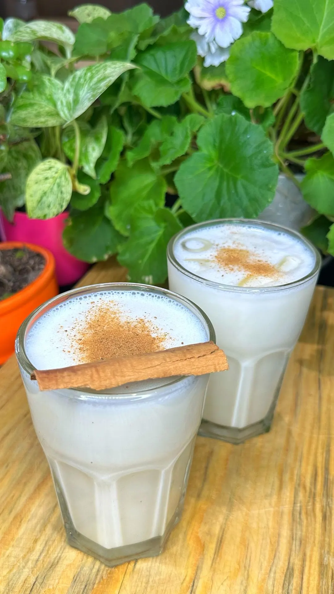avena-cubana-cuban-oatmeal