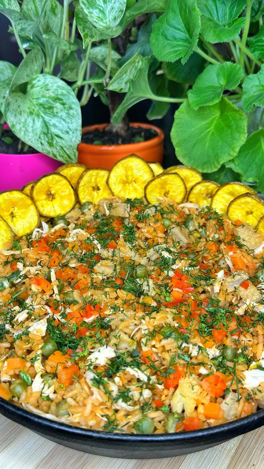 arroz-con-panza-de-res-y-pechuga-de-pollo-rice-with-beef-belly-and-chicken-breast