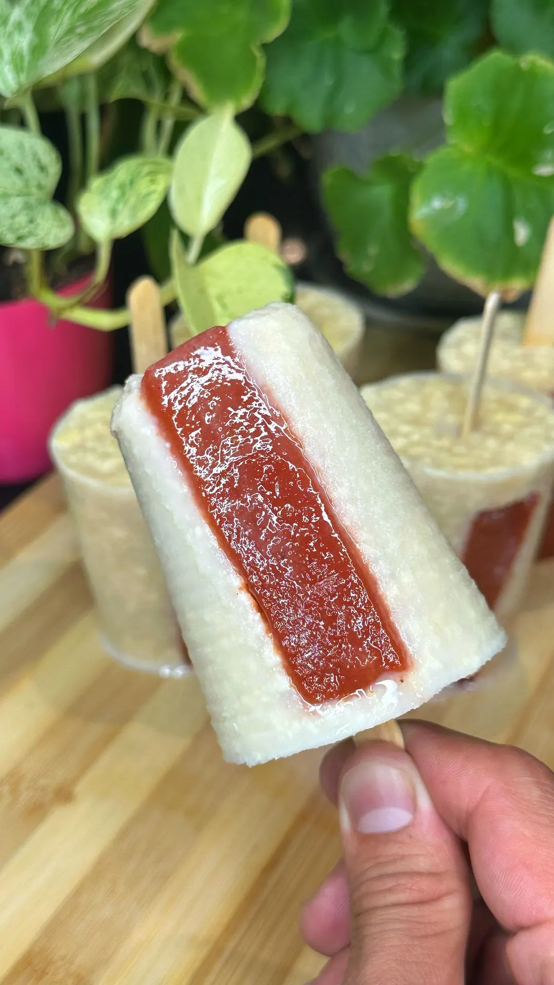 paletas-de-queso-con-bocadillo-cheese-popsicles-with-sandwich