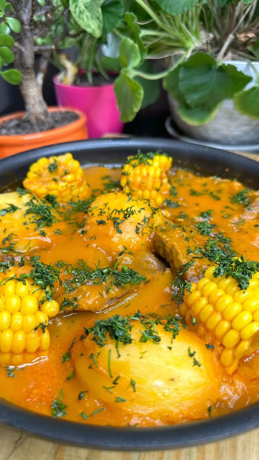 carne-guisada-con-papa-y-mazorca-stewed-meat-with-potatoes-and-corn-on-the-cob