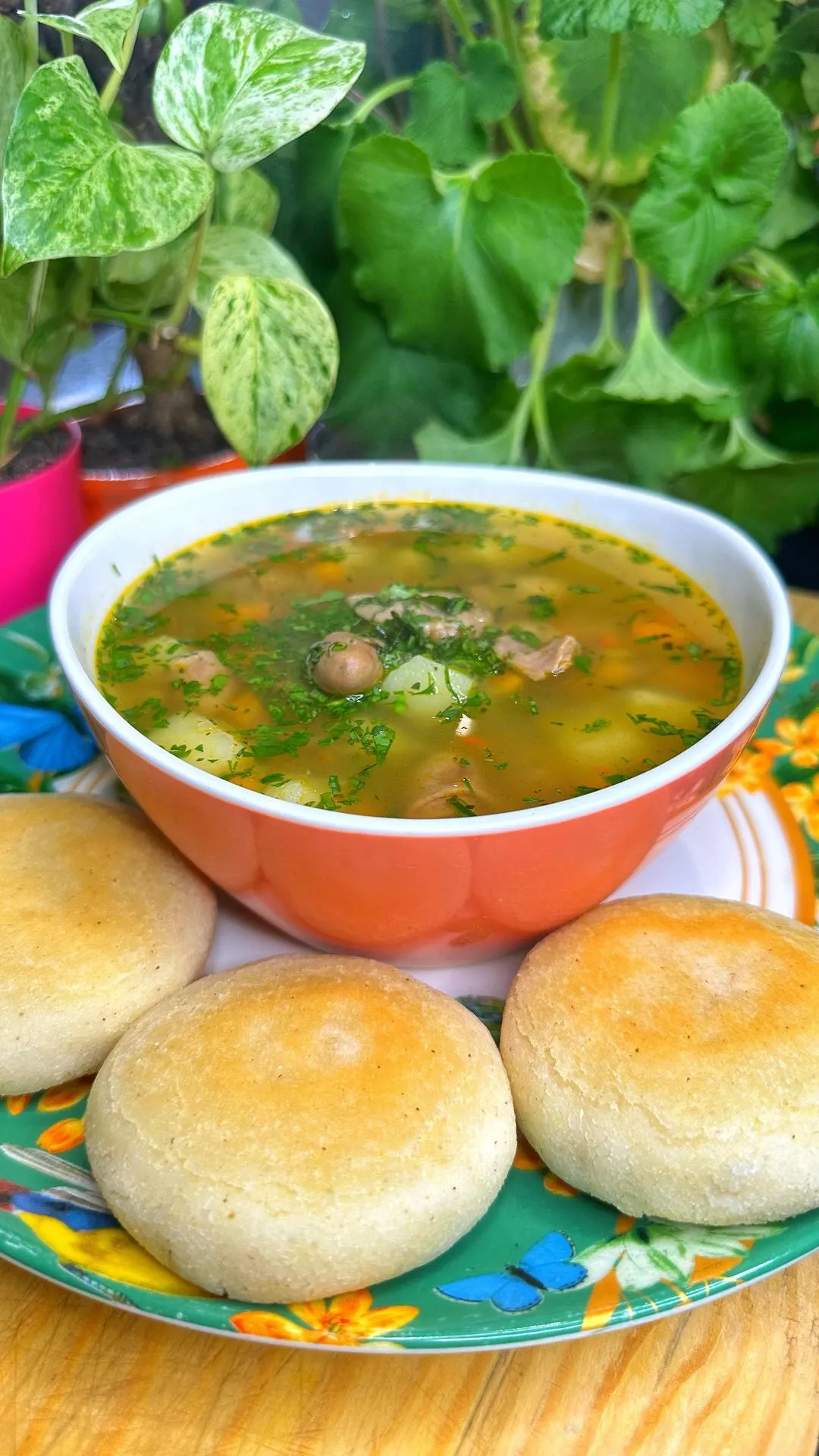 sopa-de-menudencias-giblet-soup