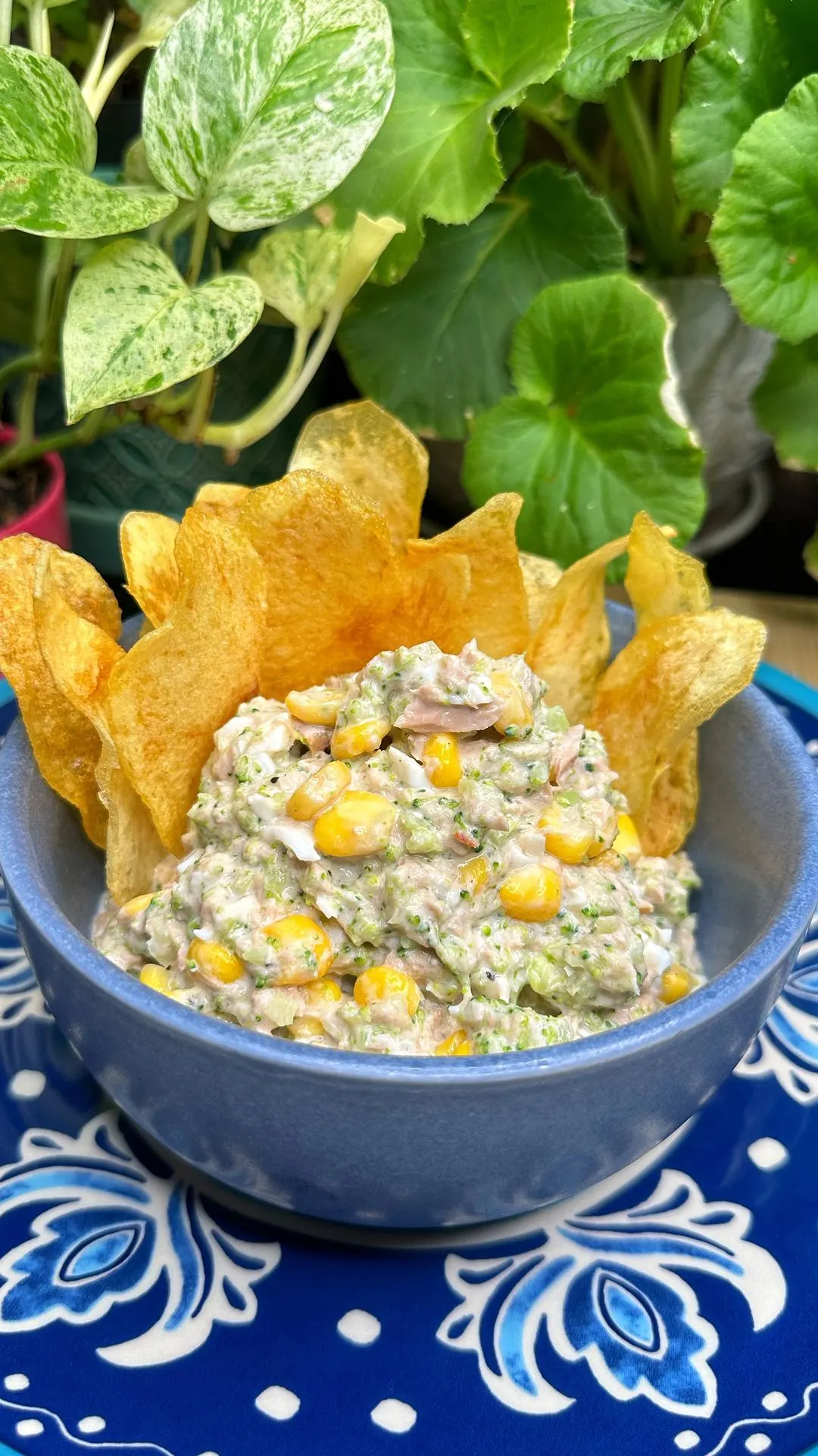 dip-de-atun-tuna-dip