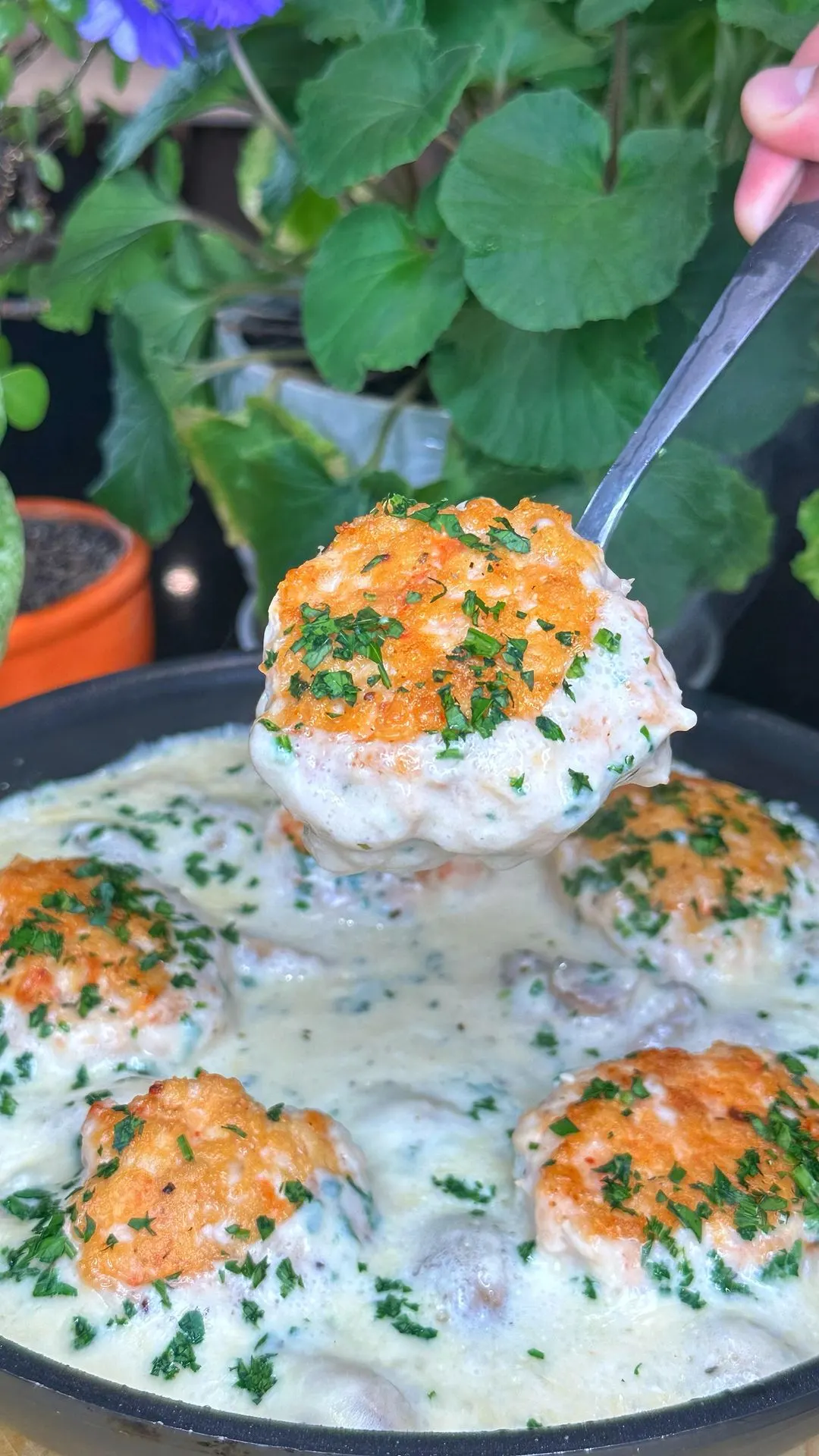 salbondigas-de-pechuga-de-pollo-en-salsa-de-queso-y-champinones-chicken-breast-meatballs-in-cheese-and-mushroom-sauce
