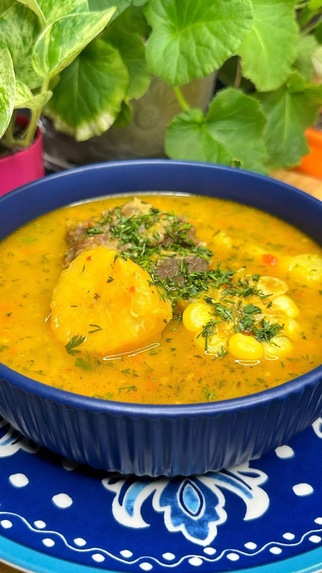 sopa-levanta-muertos-"soup-raises-the-dead"