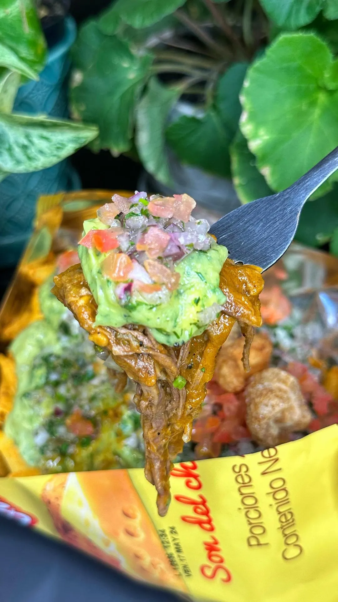 tostilocos-crazy-toasts