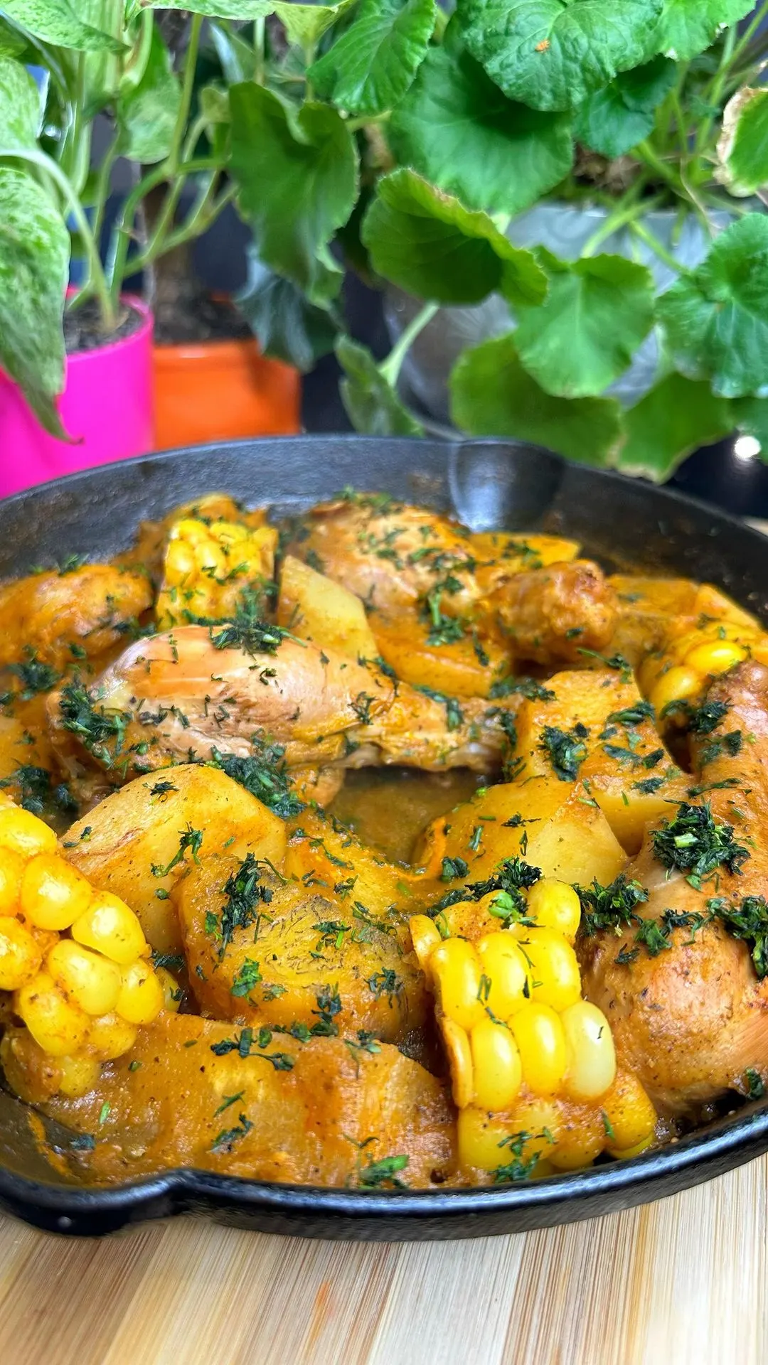 sudado-de-pollo-chicken-stew