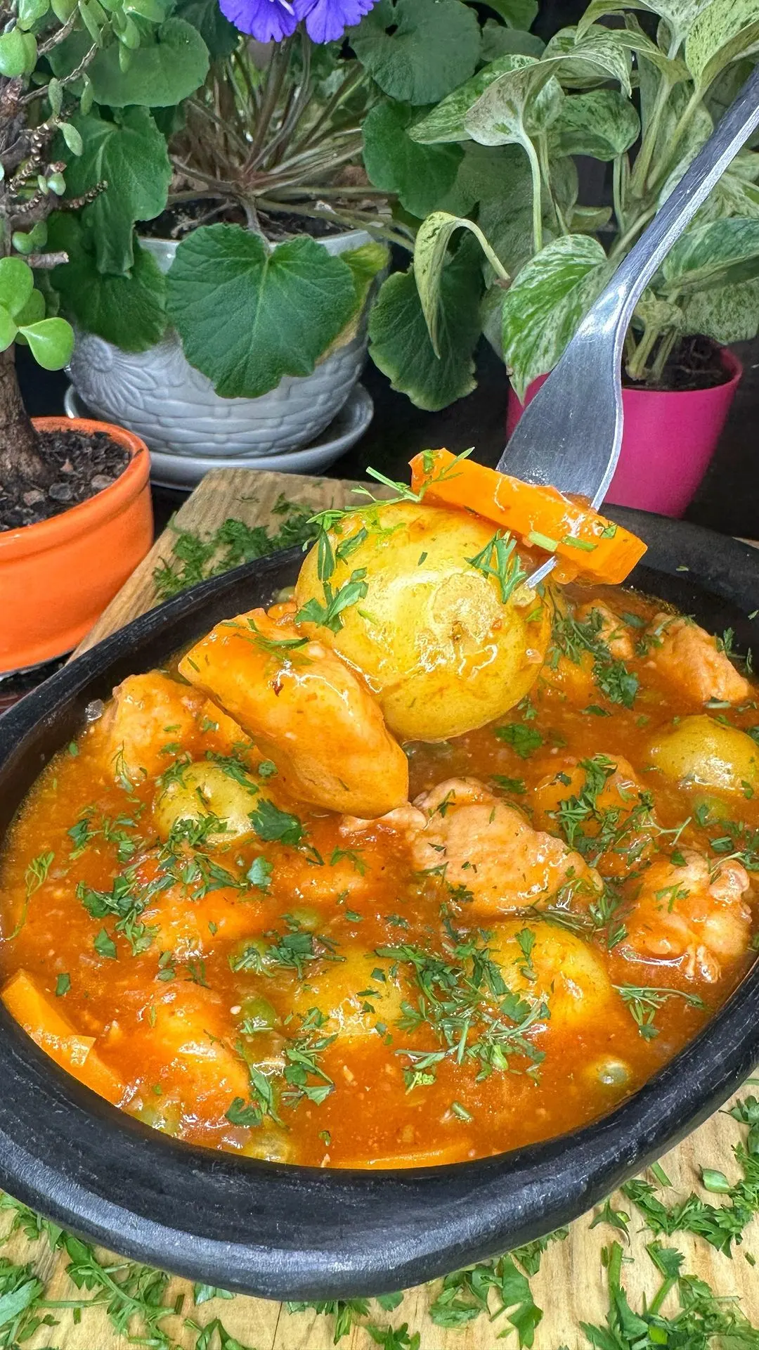 goulash-de-pollo-chicken-goulash