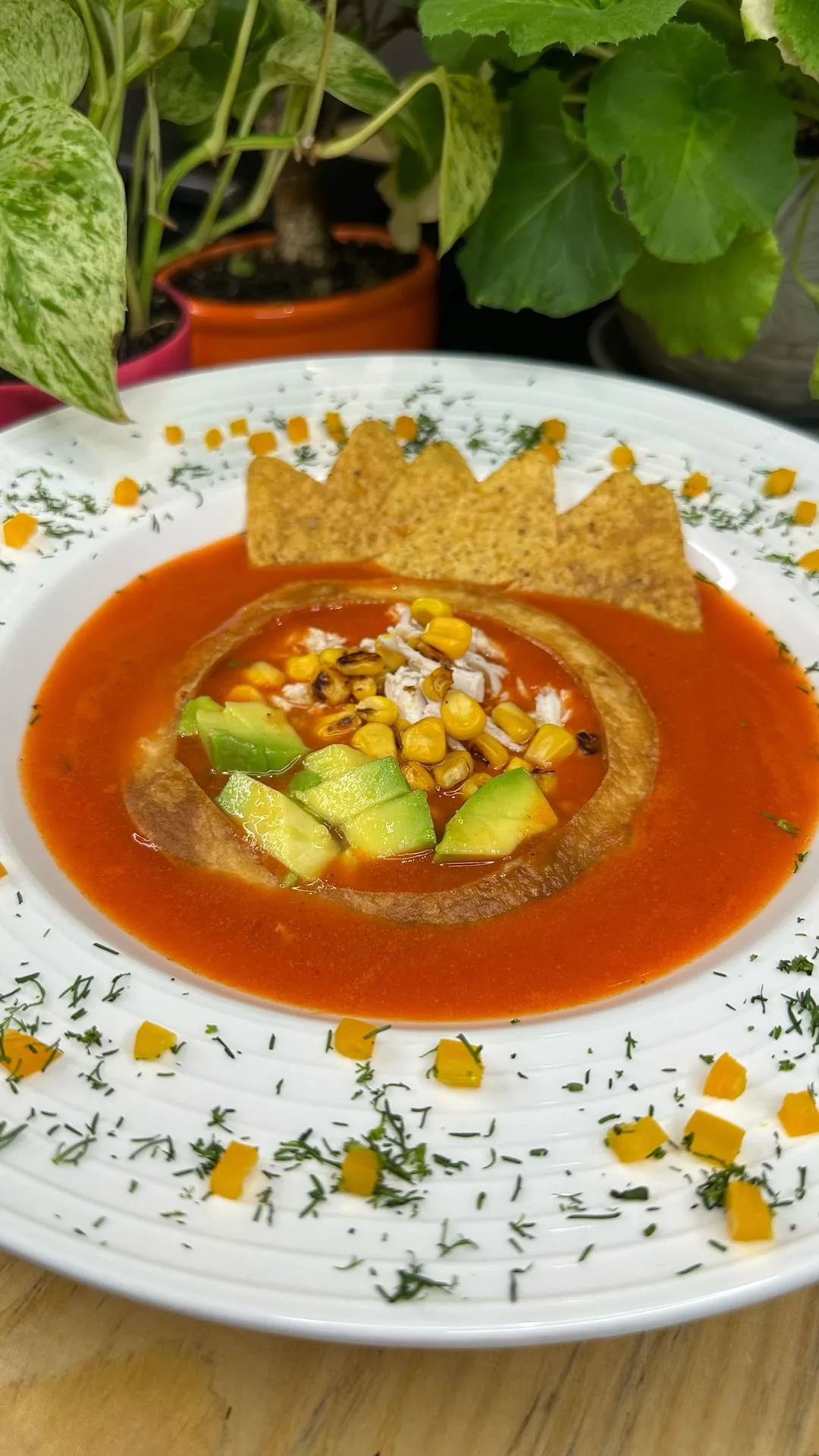 sopa-con-ingredientes-basicos-de-la-canasta-familiar-soup-with-basic-ingredients-from-the-family-basket