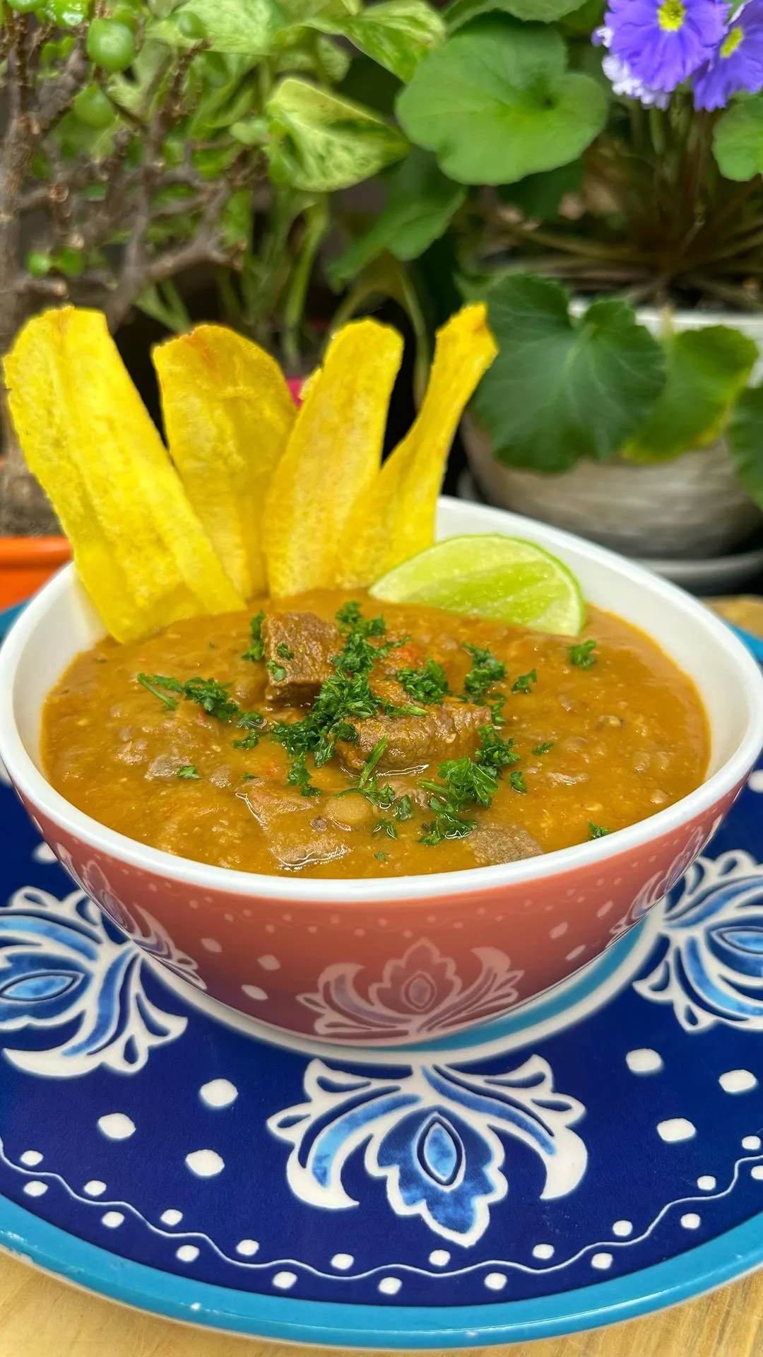lentejas-guisadas-stewed-lentils