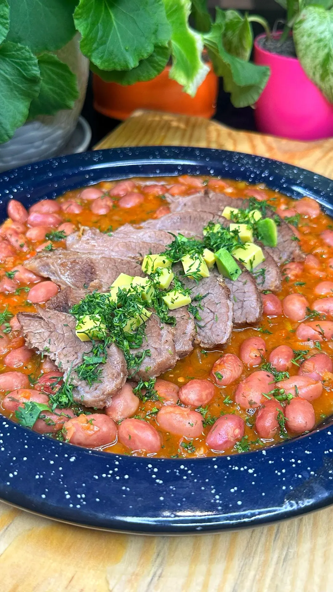 sobre-barriga-en-salsa-con-frijolitos-verdes-belly-in-sauce-with-green-beans