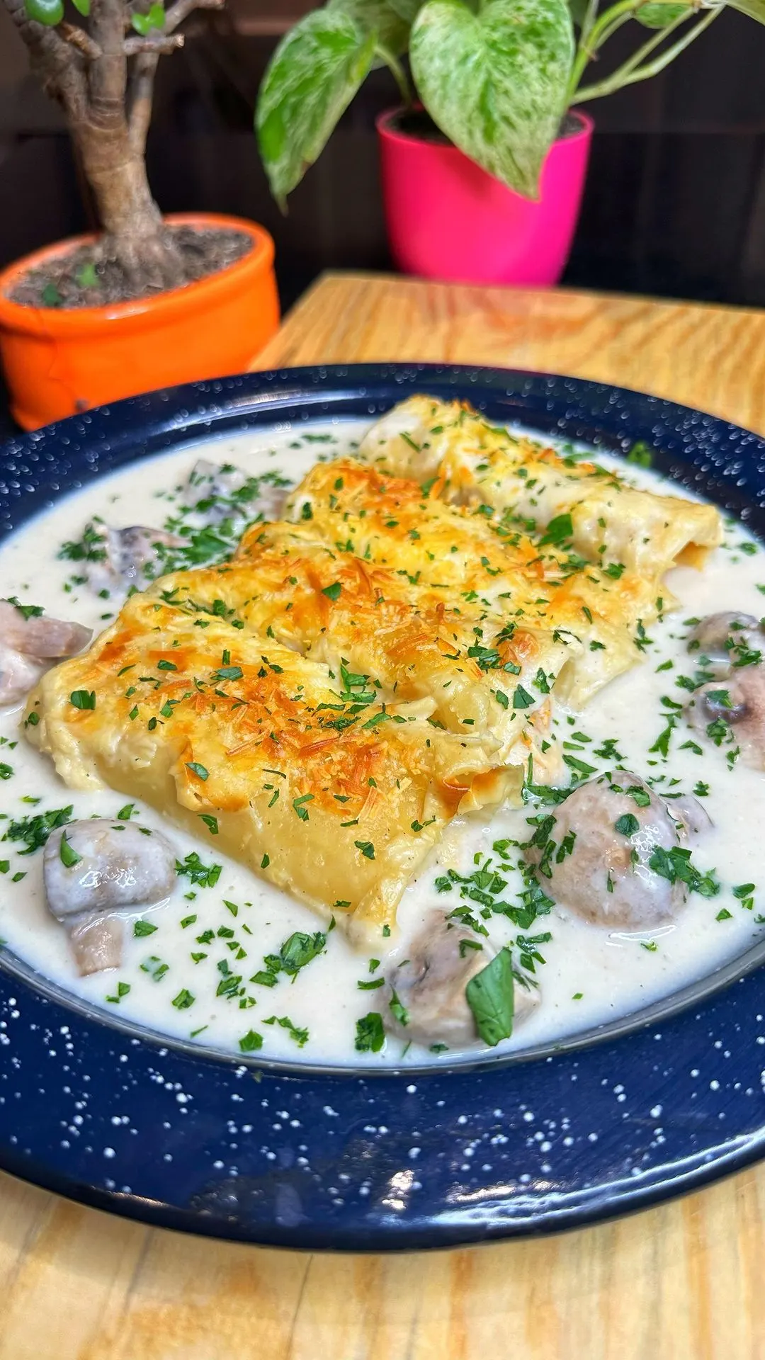 canelones-rellenos-de-carne-stuffed-meat-cannelloni