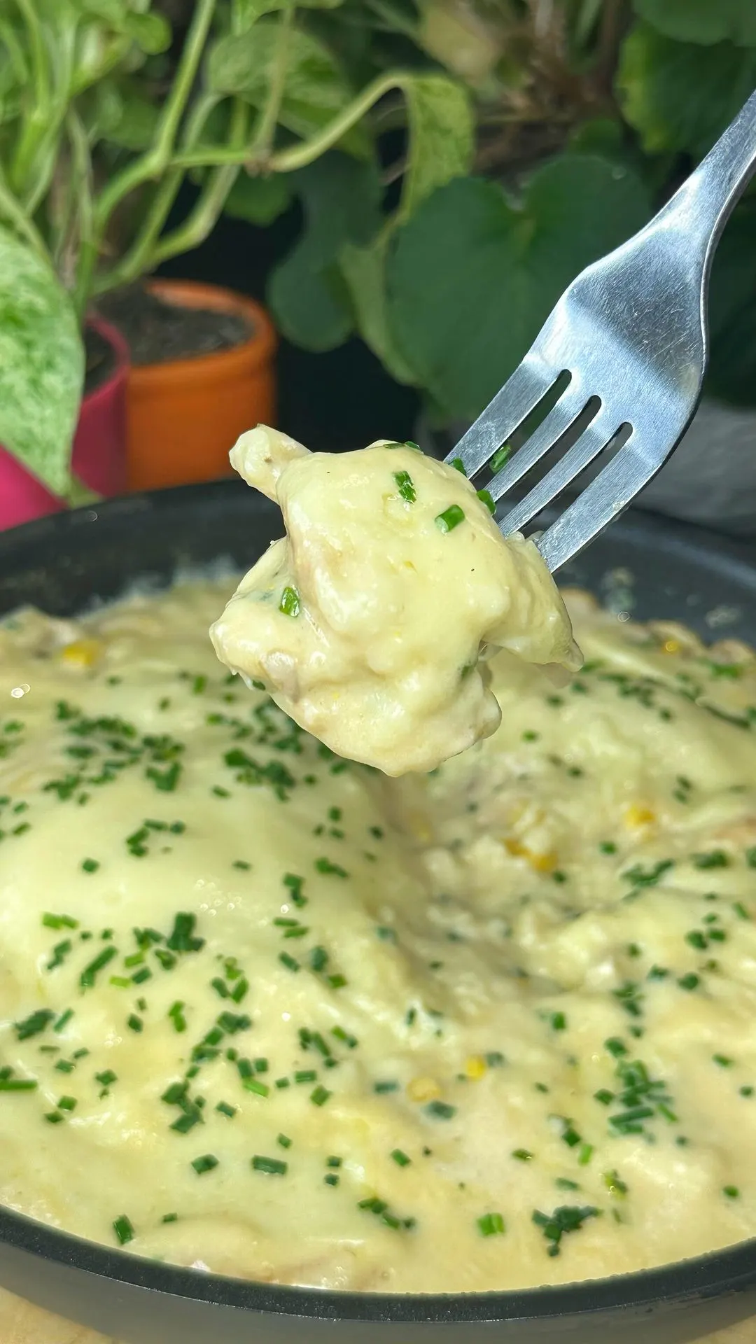 pechuguita-salsuda-con-queso-y-maiz-saucy-chicken-breast-with-cheese-and-corn
