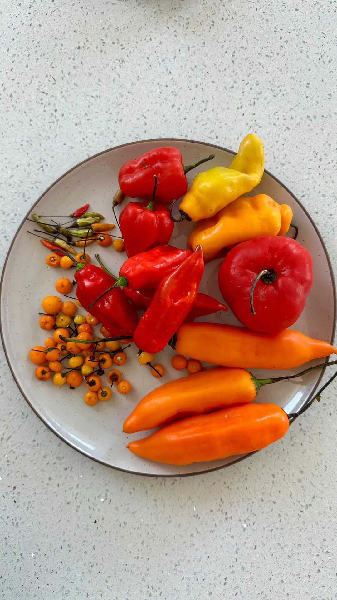 encurtido-de-ajies-peruanos-peruvian-pickled-peppers