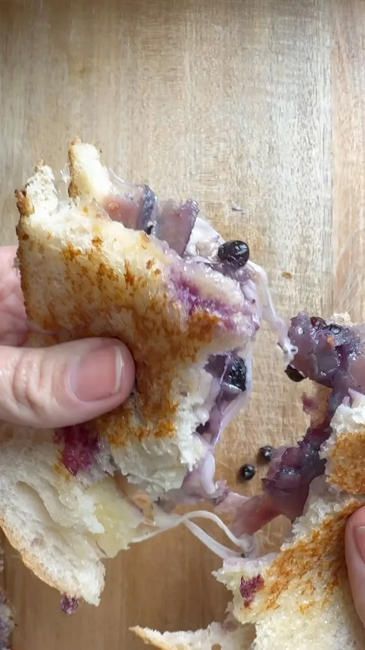 blueberry-grilled-cheese