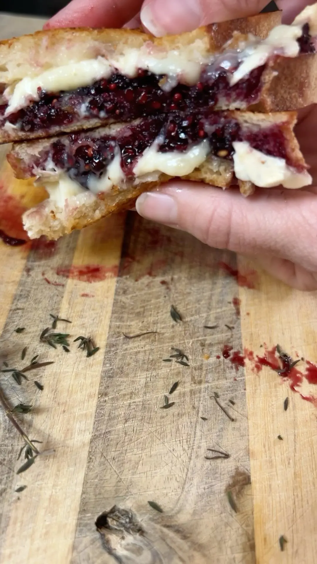 blackberry-balsamic-brie-grilled-cheese