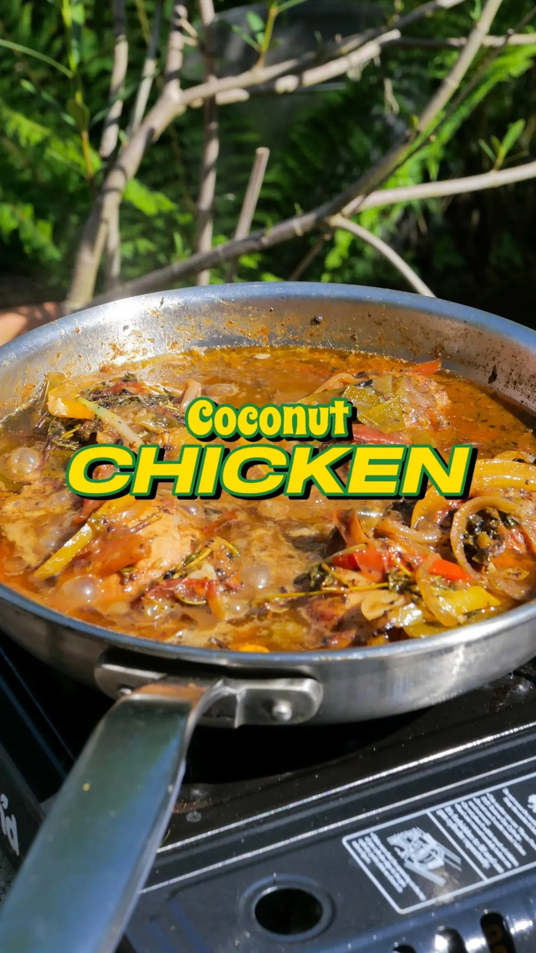 coconut-chicken-stew