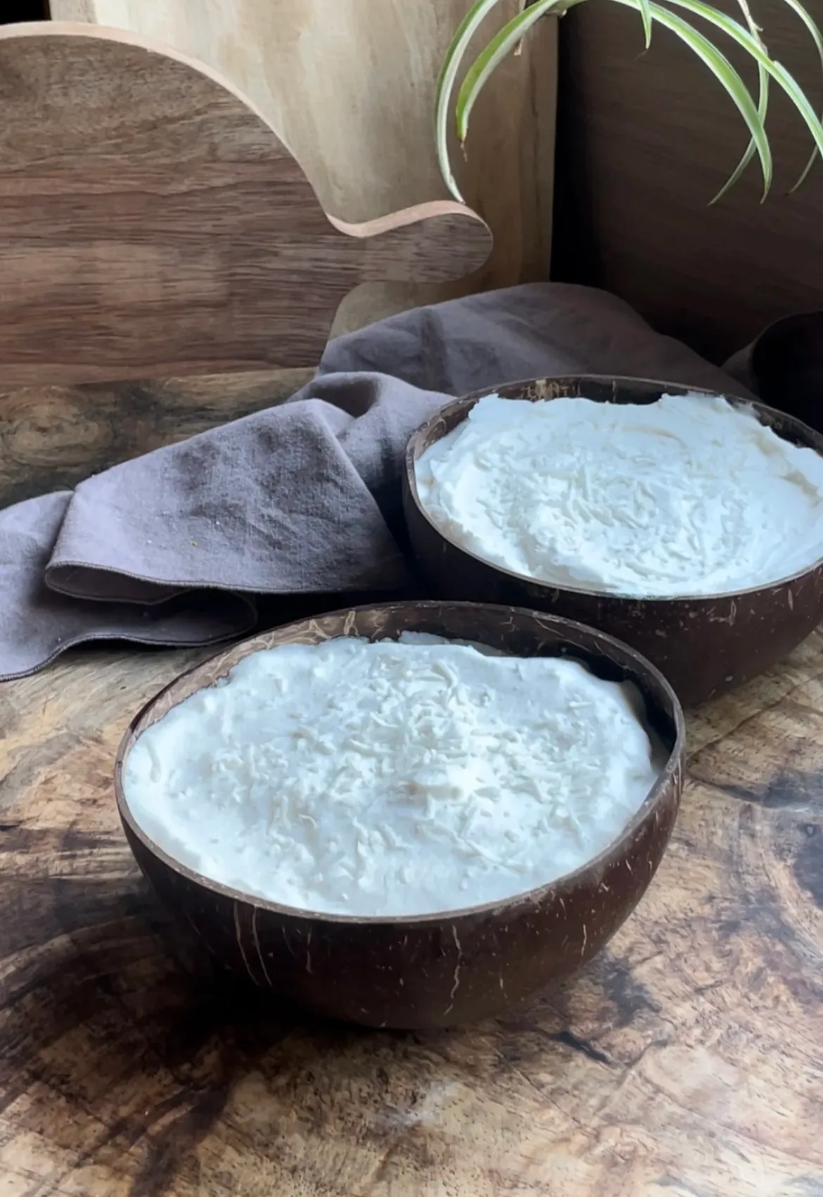 helado-de-coco-sugar-free-sugar-free-coconut-ice-cream