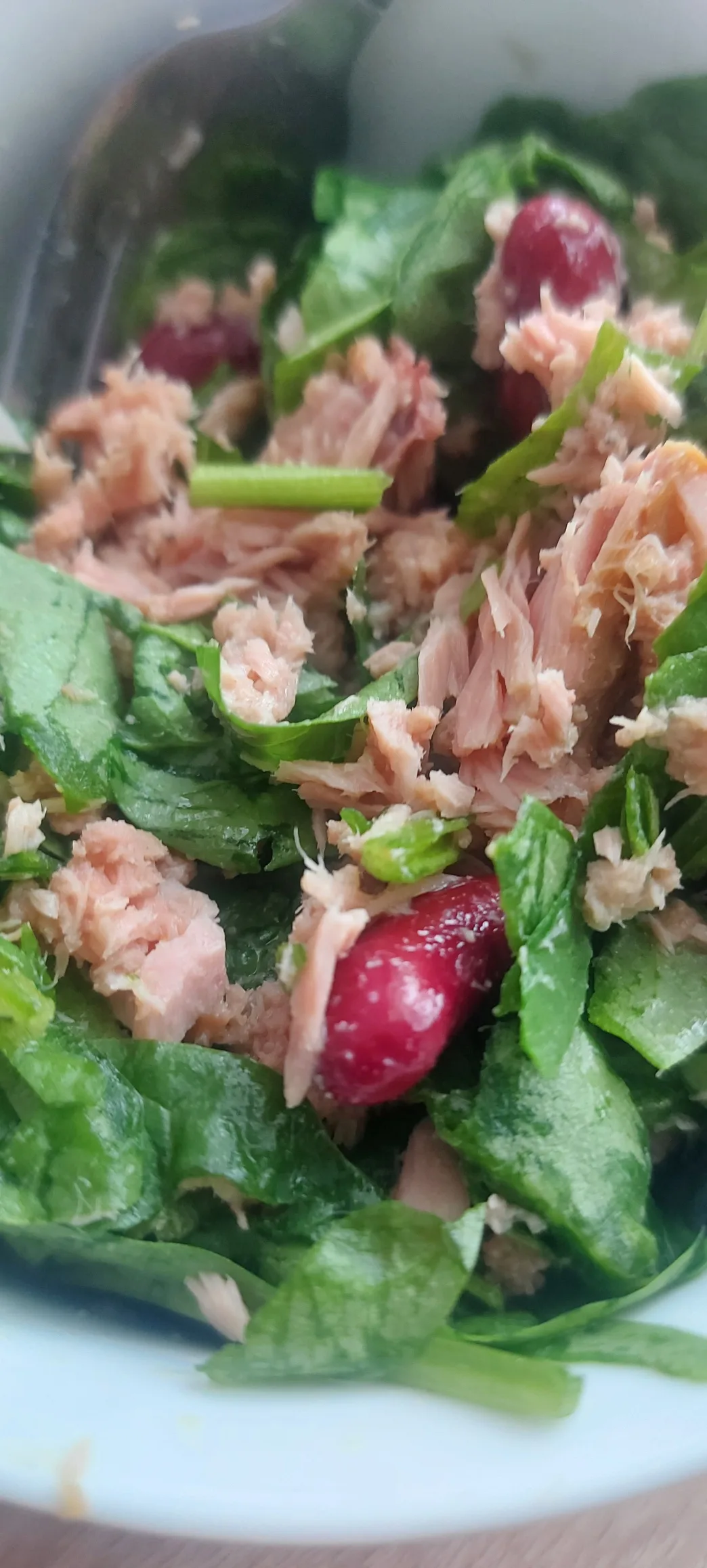 ton-salad
