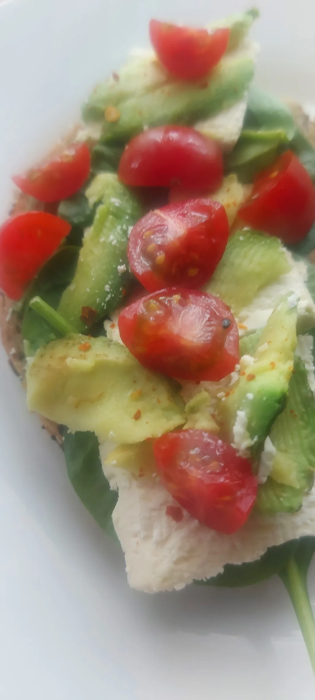 fresh-avocado-sandwich