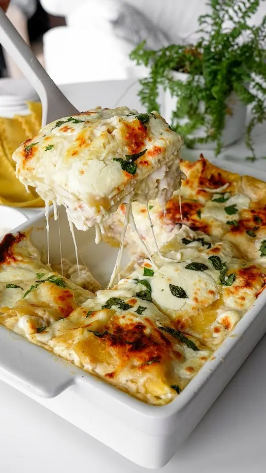 chicken-alfredo-lasagna-bake