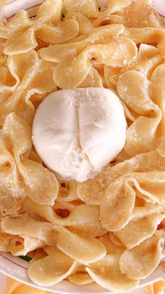 whipped-burrata-pasta