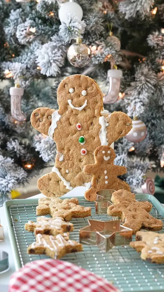 chocolate-chip-cookie-or-gingerbread