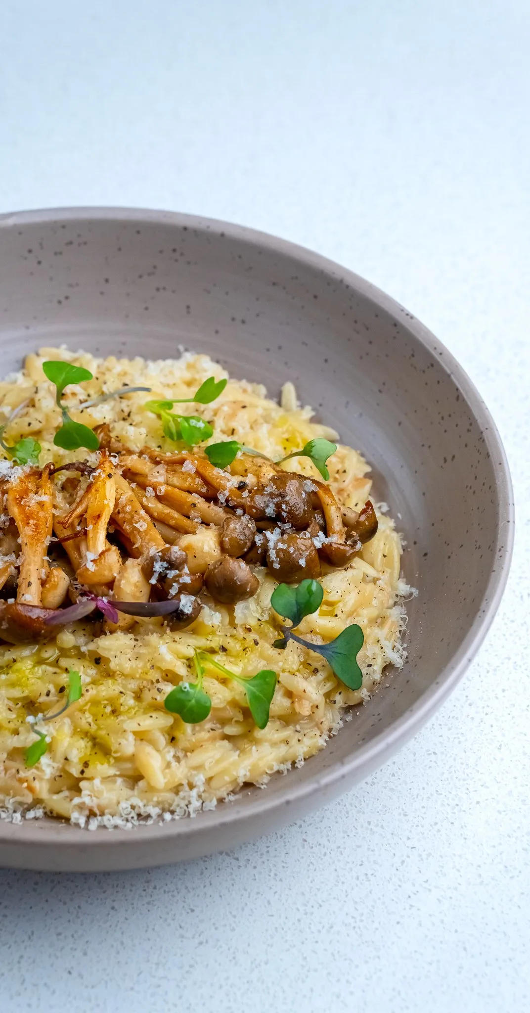 creamy-mushroom-orzo