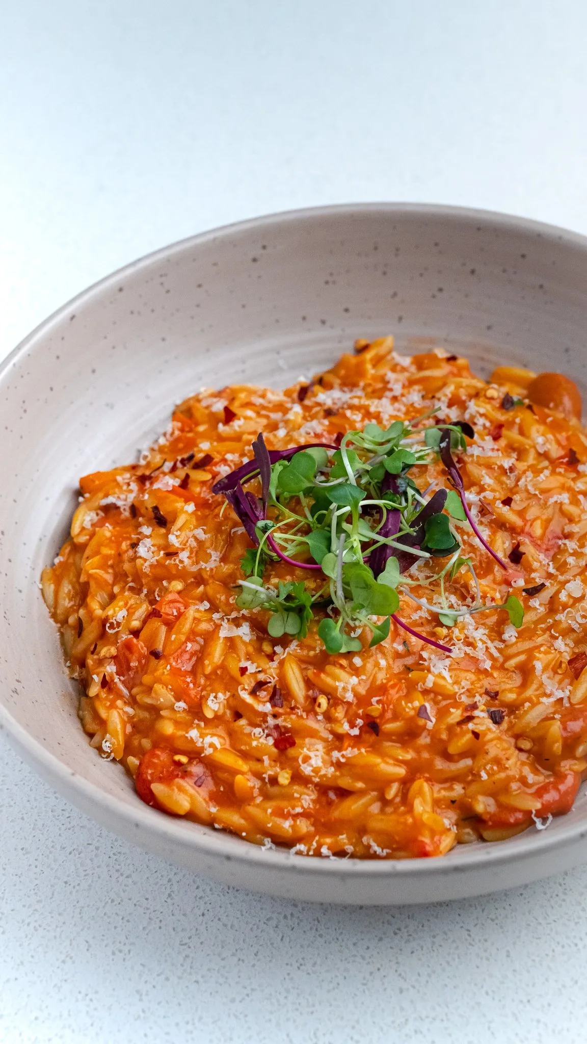 one-pot-tomato-and-garlic-orzo