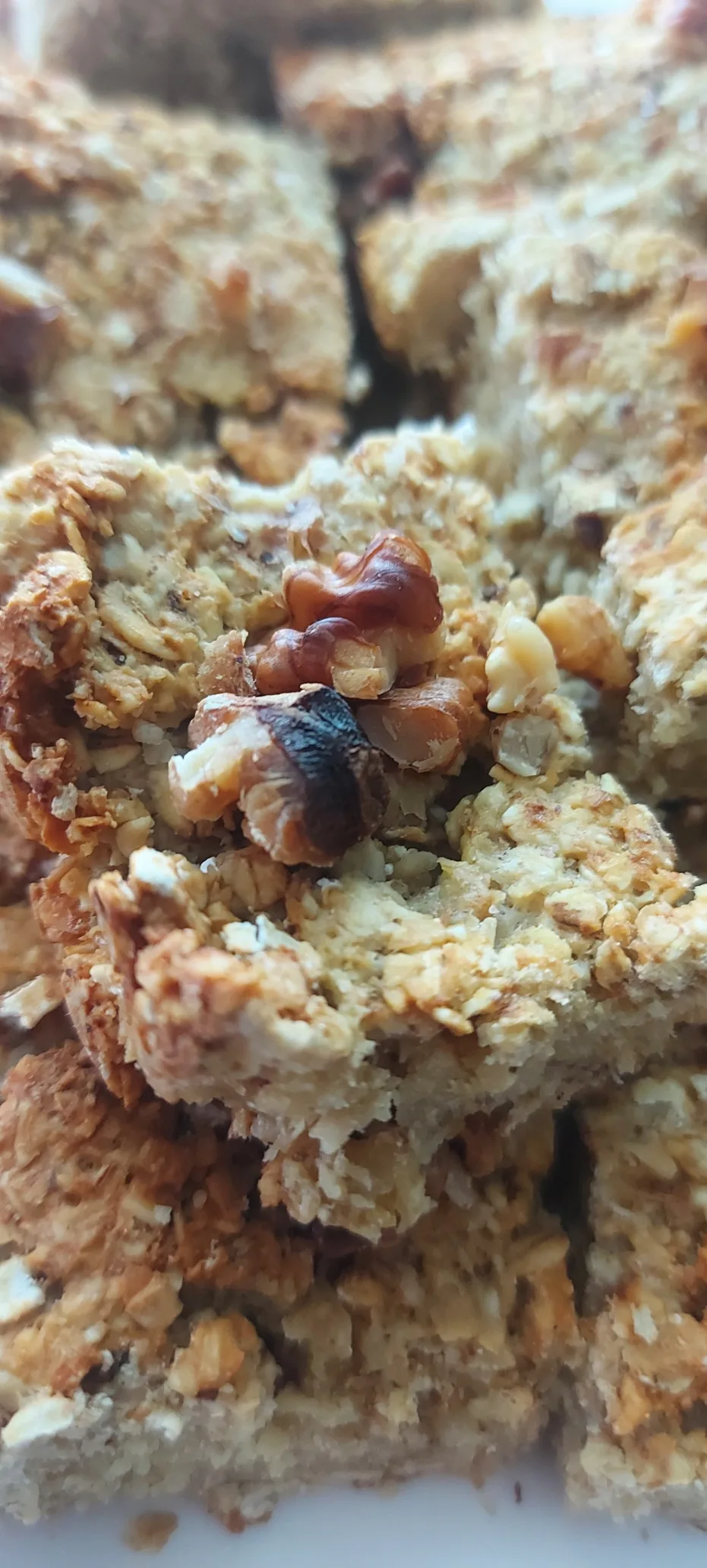 paine-ovaz-oat-bread