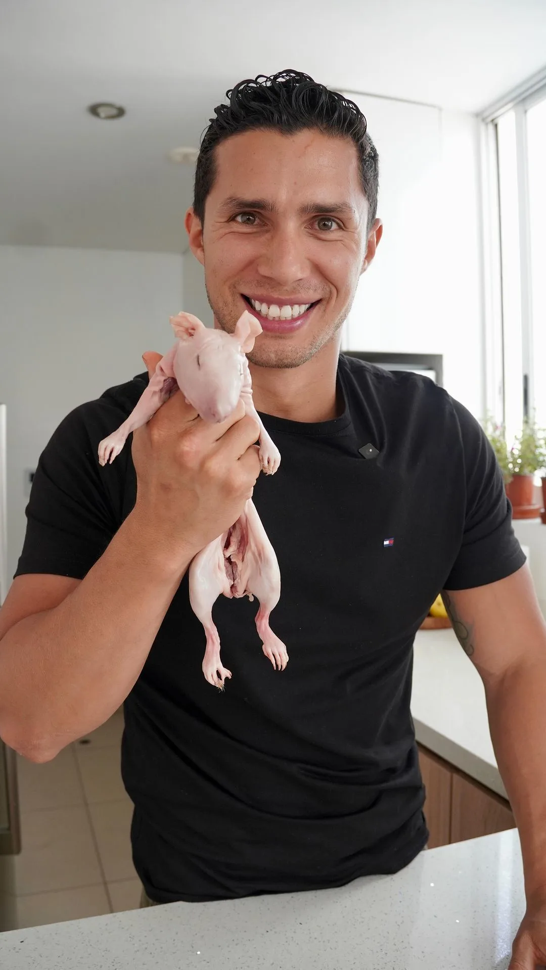cuy-chactado-fried-guinea-pig