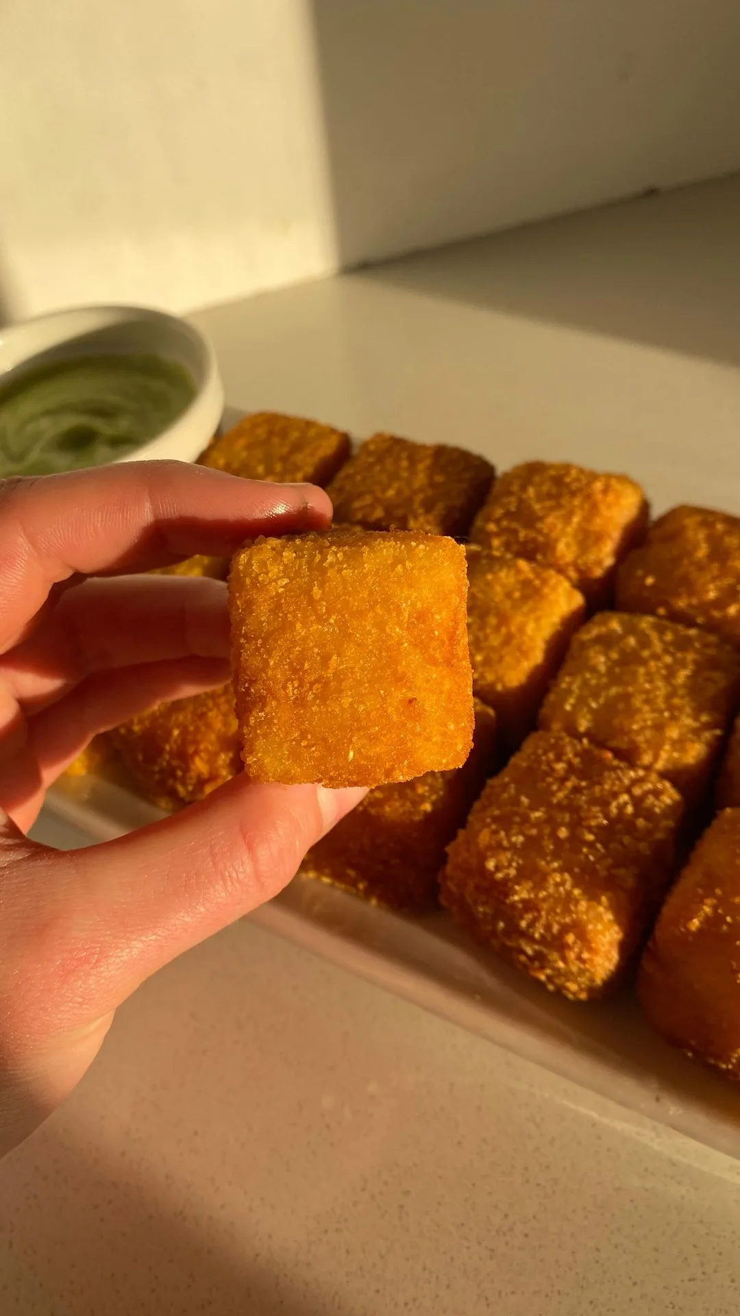 rice-cubes