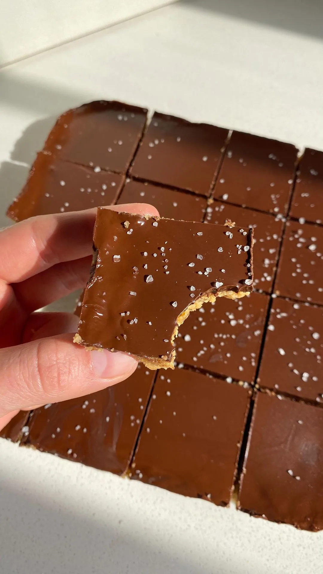 chocolate-peanut-butter-protein-bars