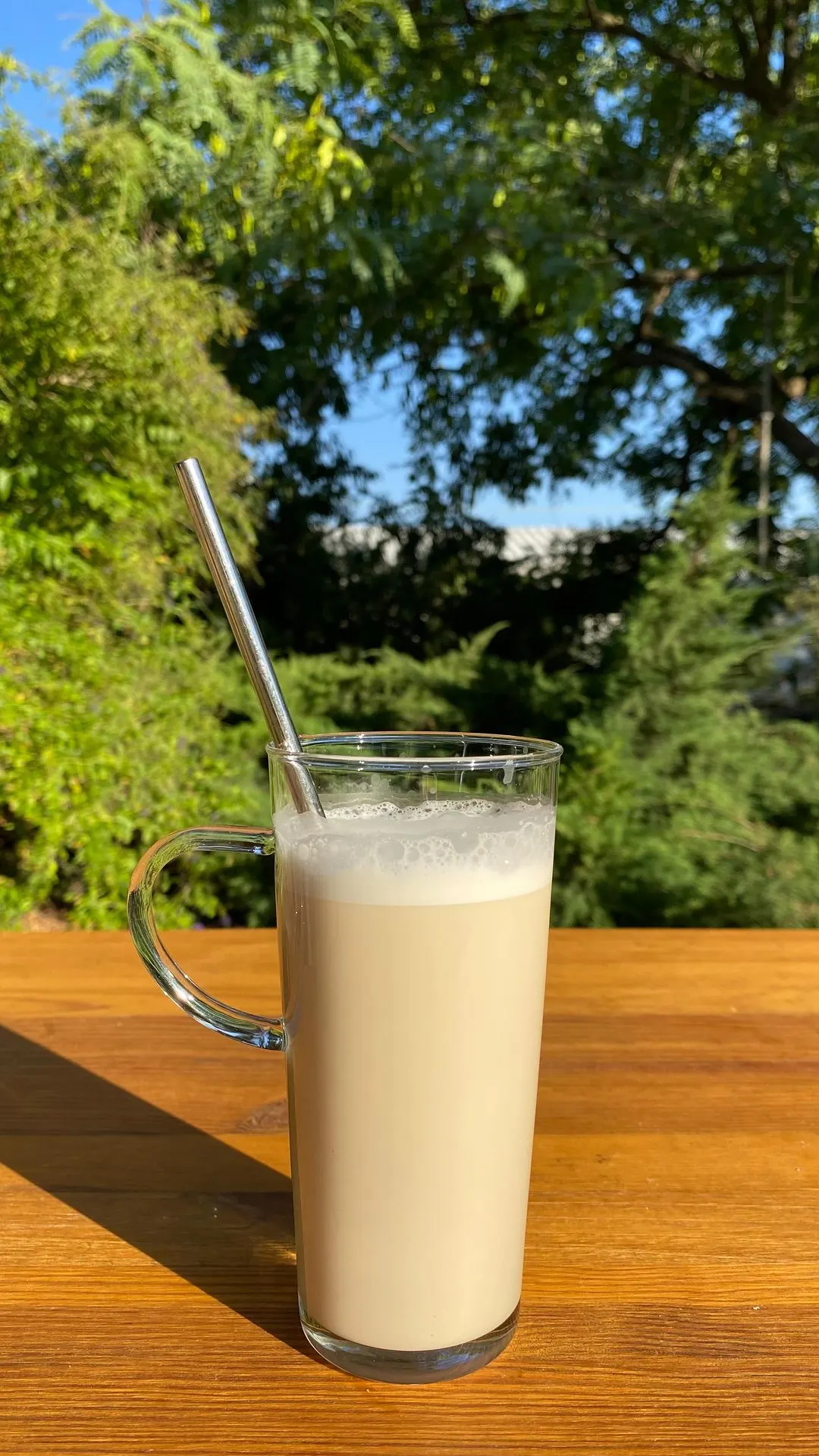 3-ingredient-vegan-milk