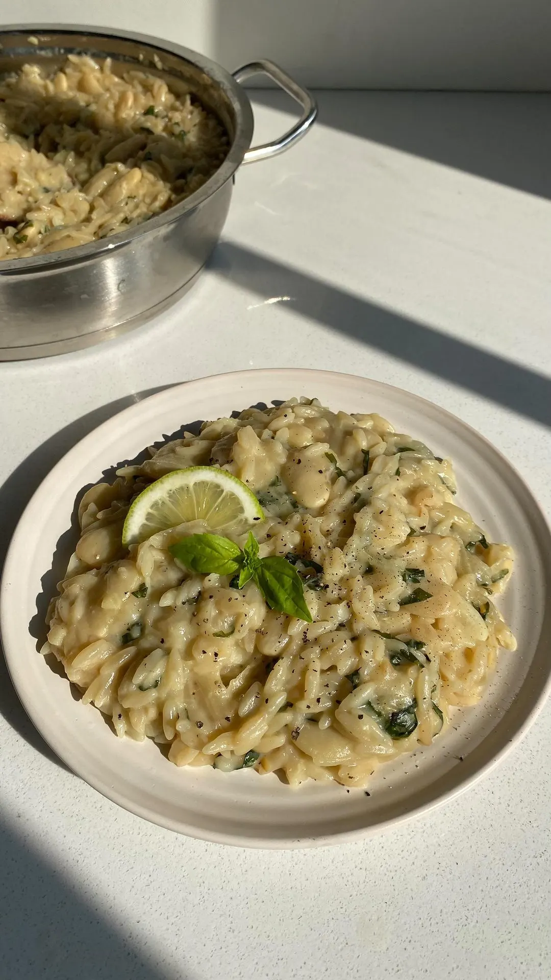 orzo