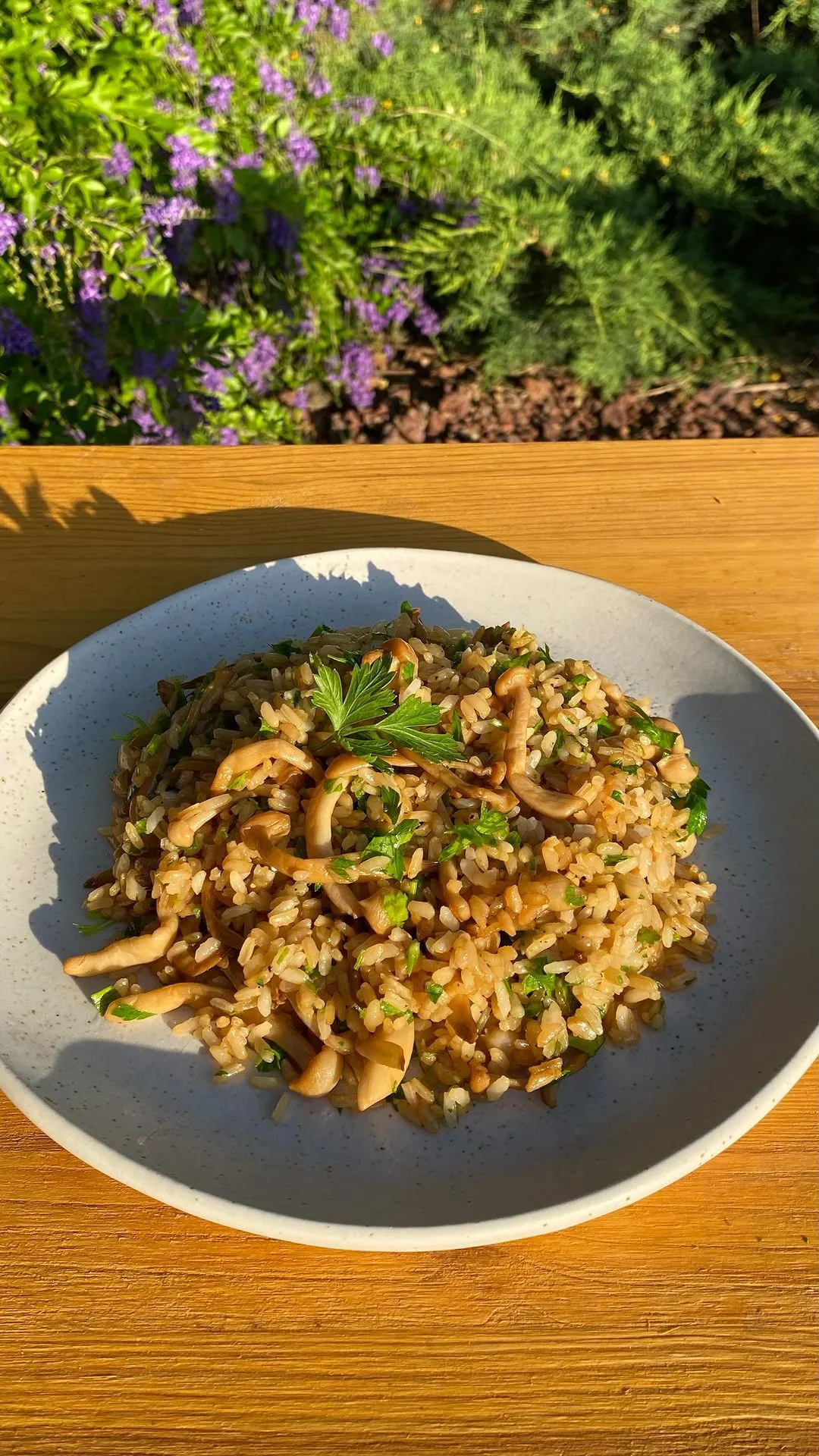 rice-with-shimeji-mushrooms