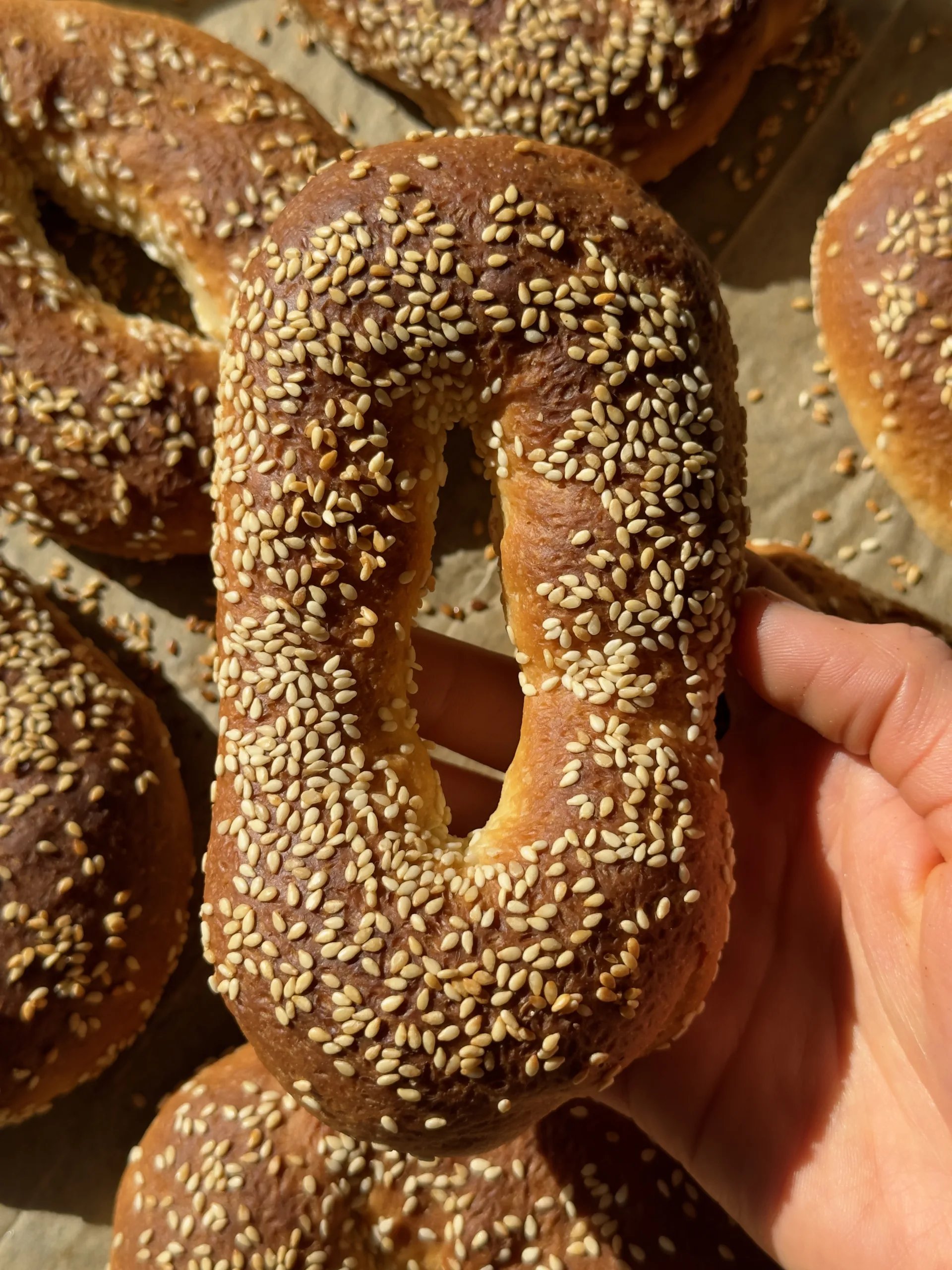 easy-jerusalem-bagels-or-vegan-recipe