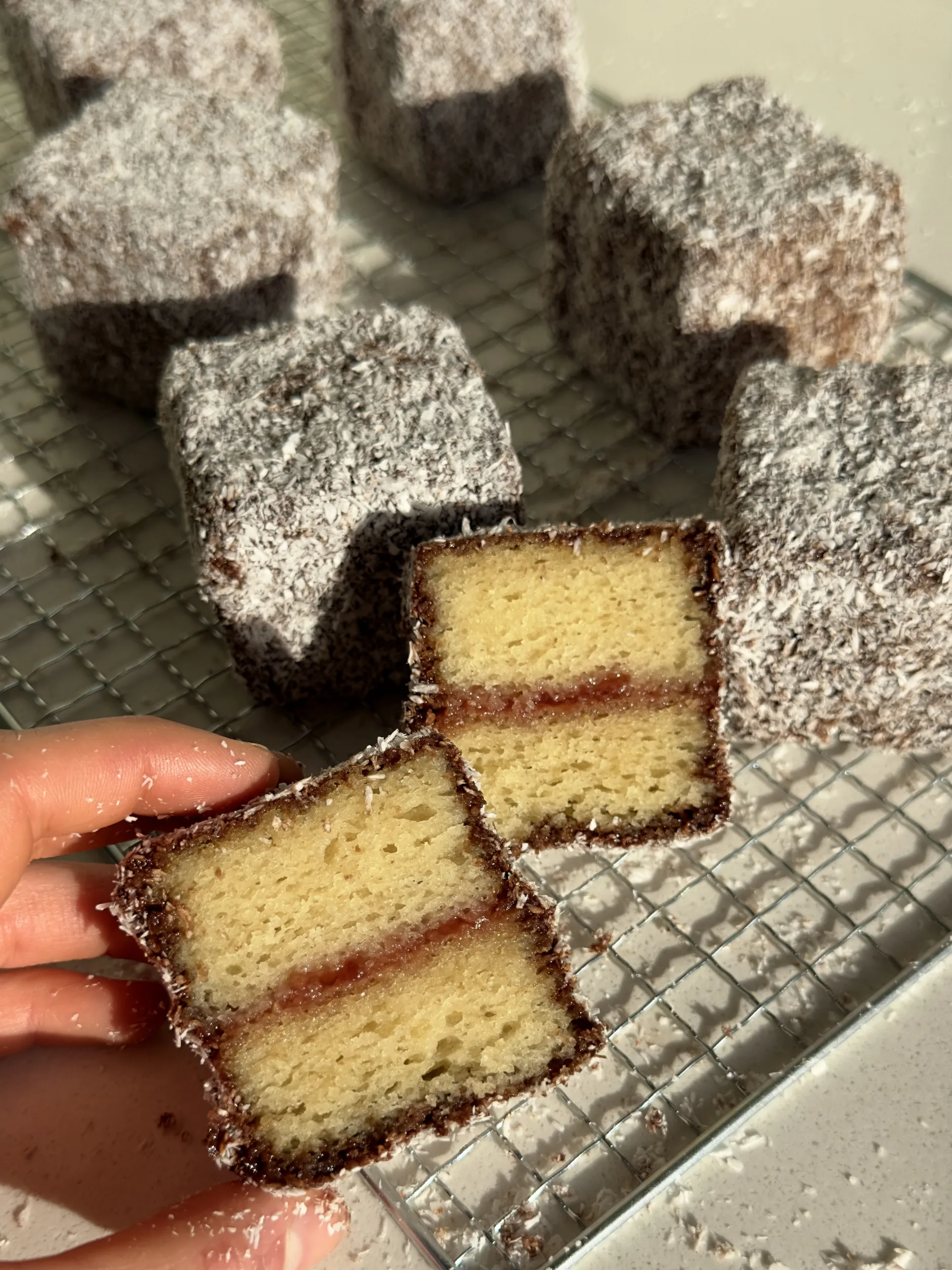 vegan-lamingtons-or-easy-recipe!
