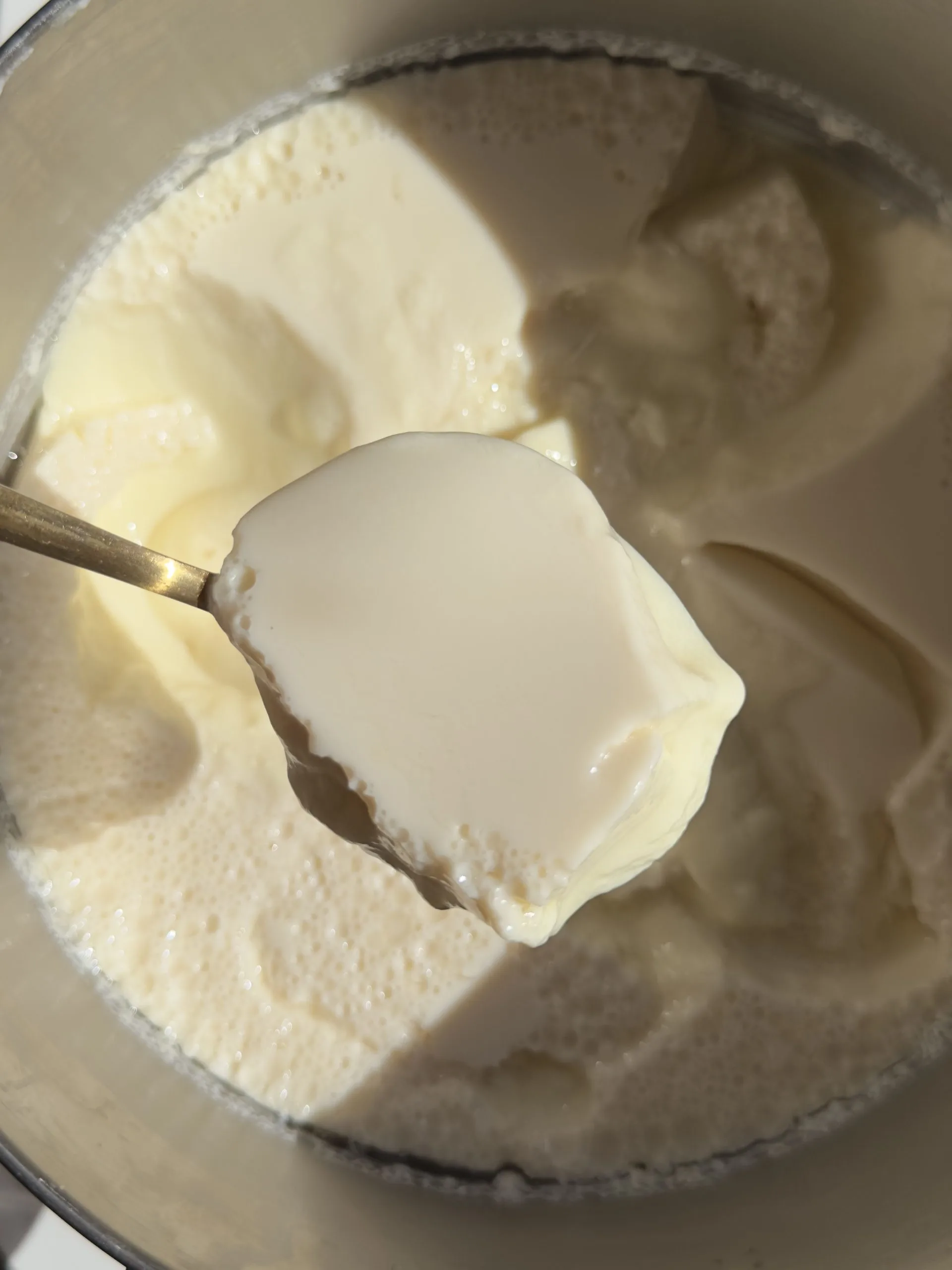infinite-homemade-vegan-yogurt