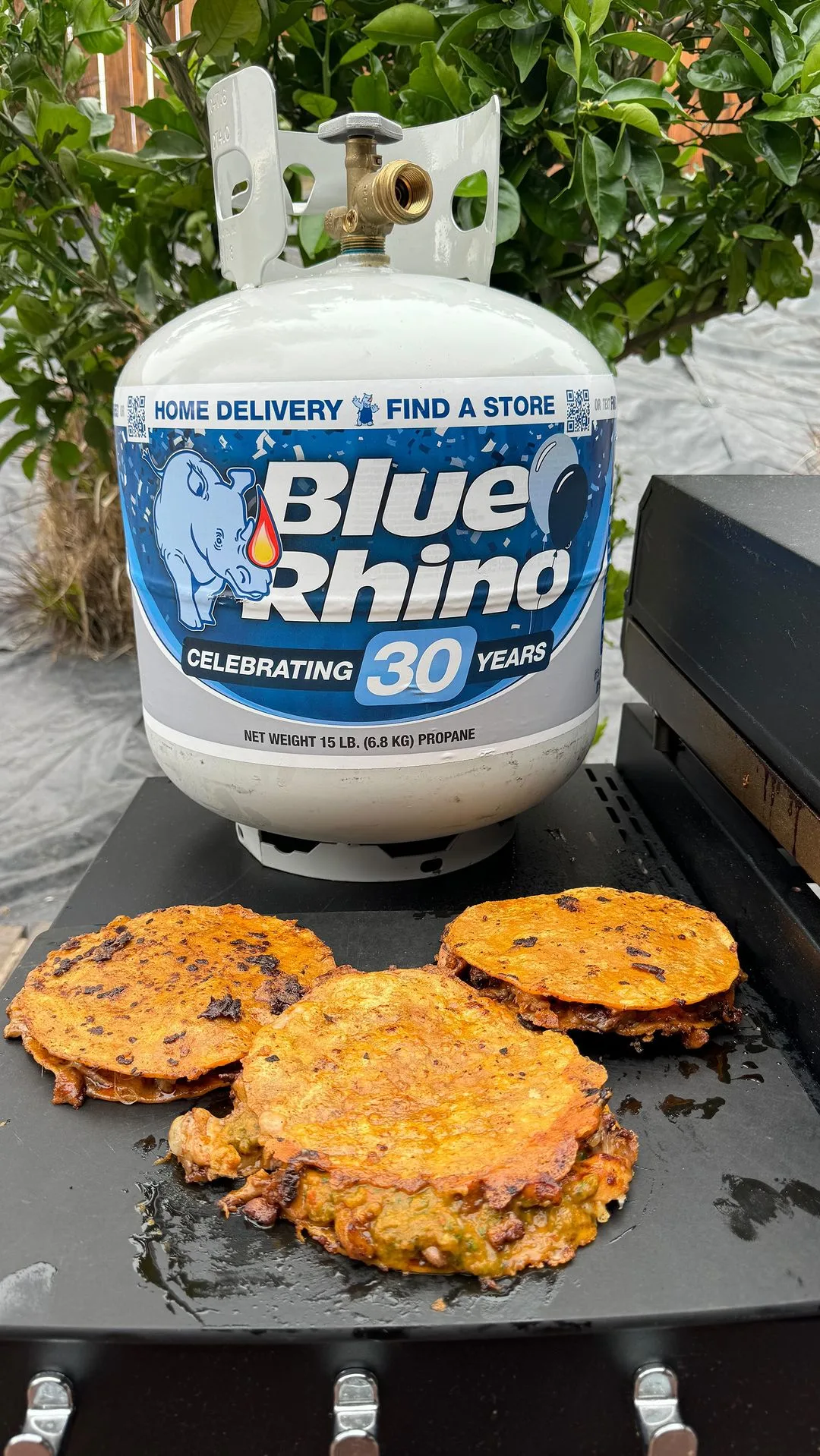 chicken-mulitas-with-blue-rhino