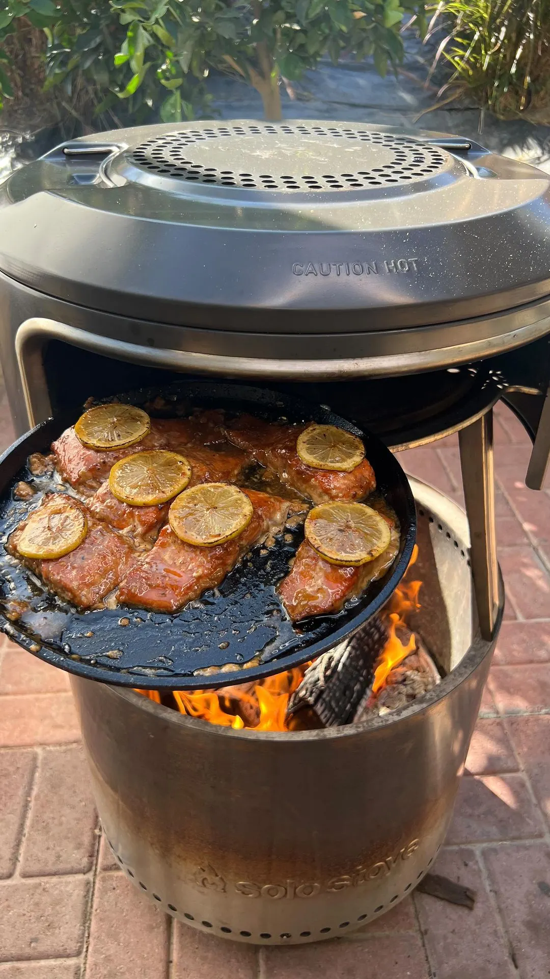honey-garlic-glazed-brown-sugar-salmon