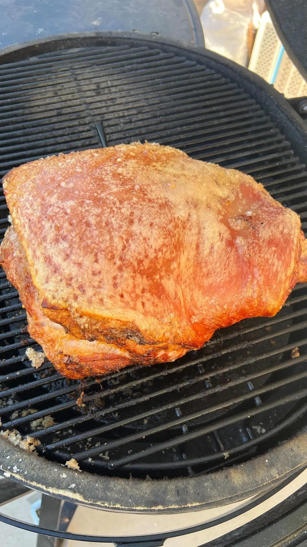 crispy-roasted-pork-leg
