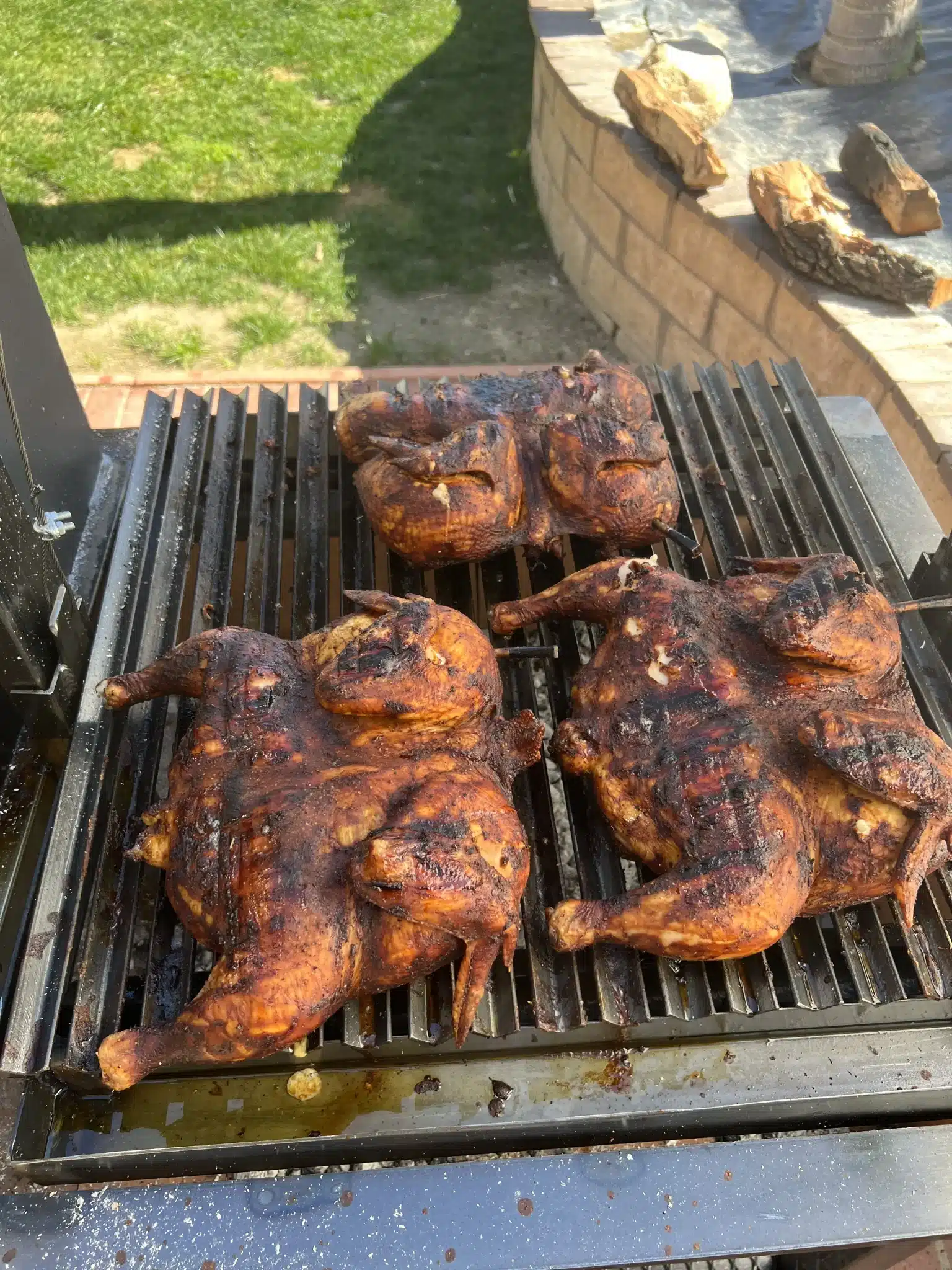 garlic-guajillo-grilled-butterflied-chicken