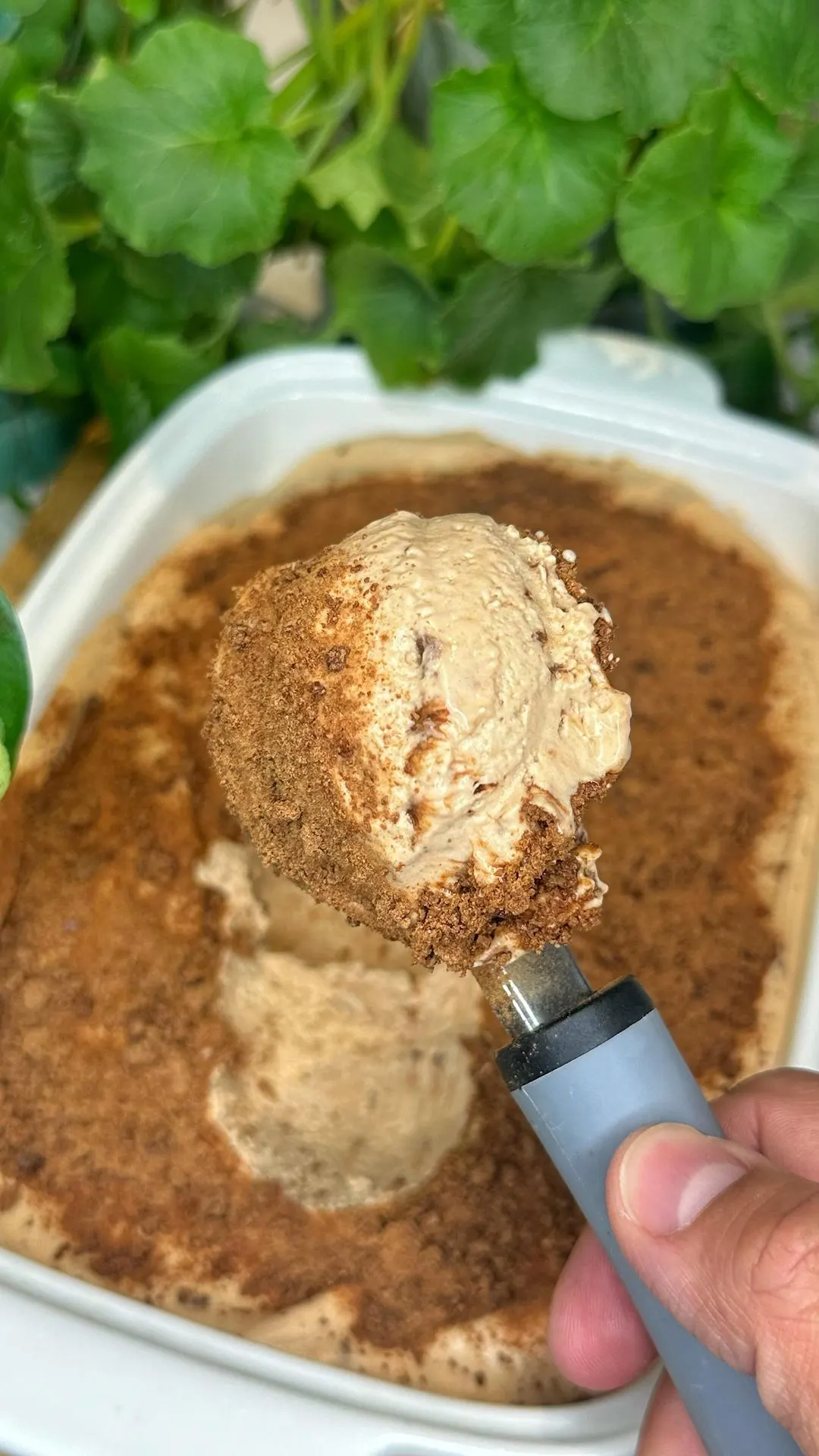 helado-de-milo-milo-ice-cream