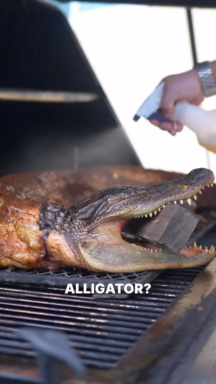 how-to-cook-alligator