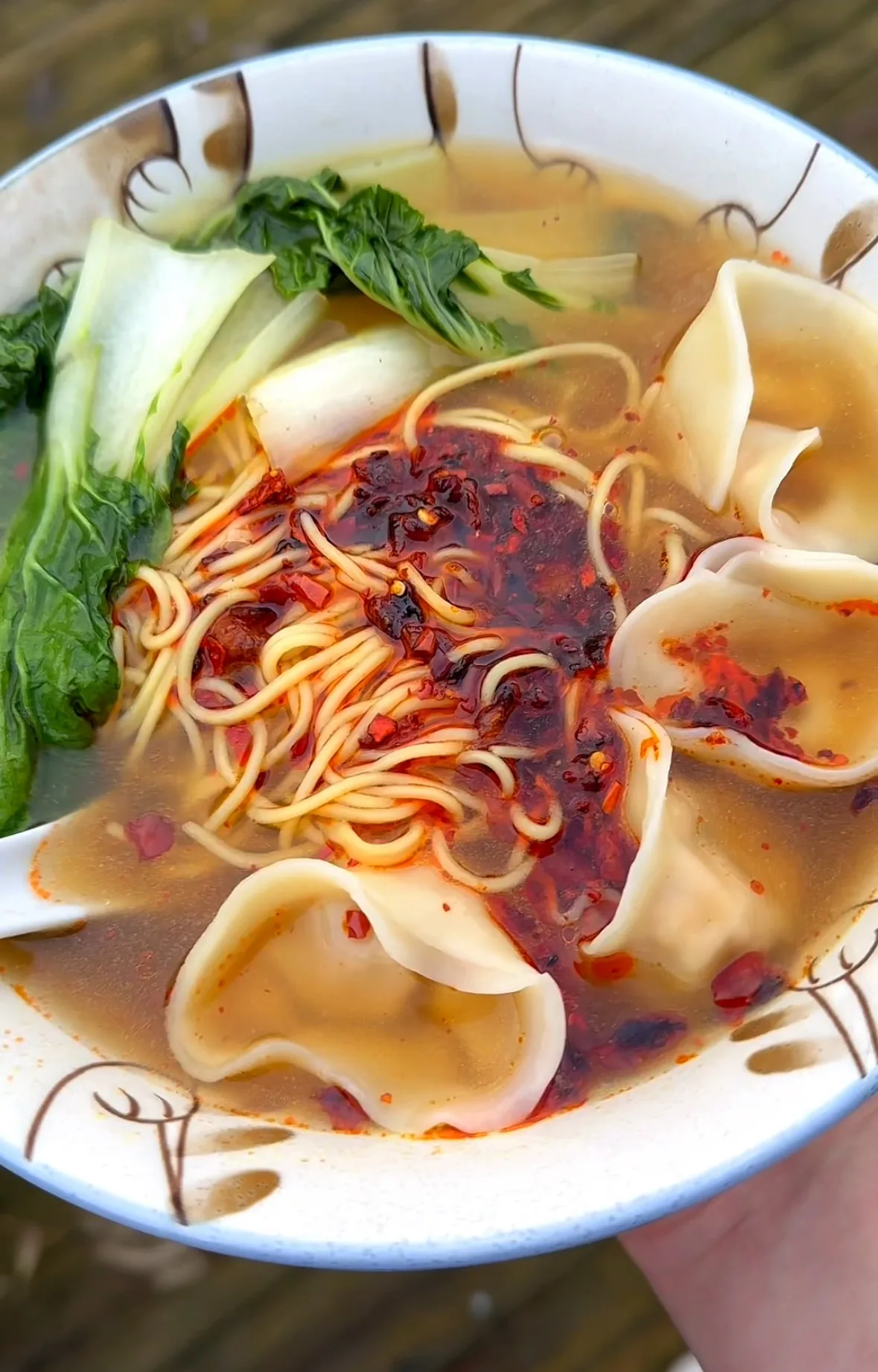 dumpling-noodle-soup